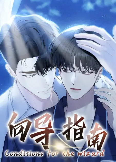 向导指南